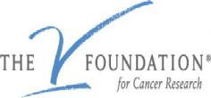 vfoundationlogo_edit.jpg